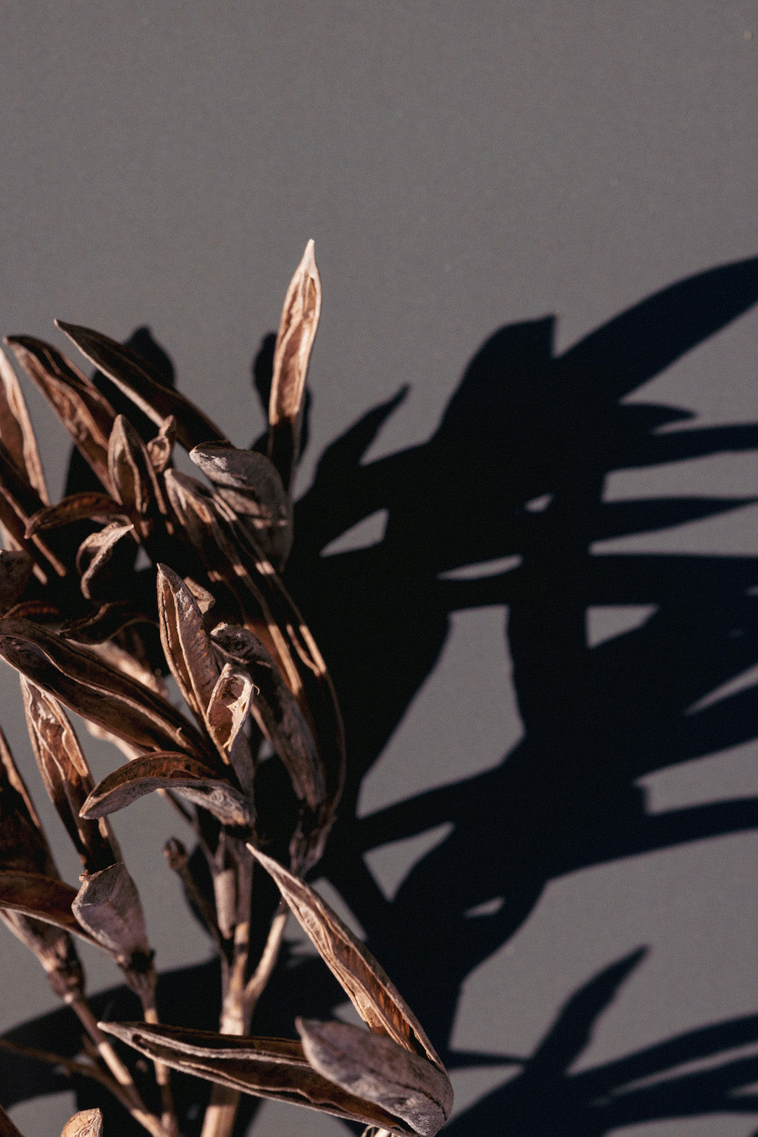 Real World Restore Hand Wash - Harakeke & Blood Orange